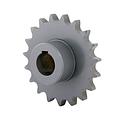 Pinion