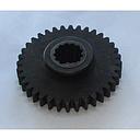Pinion Z36
