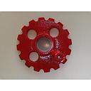Pinion
