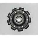 Pinion