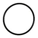 O-Ring 14472880