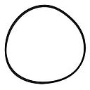 O-Ring