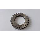 Pinion