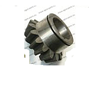 Pinion Z-14 D-35