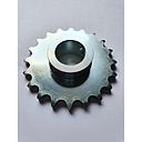Pinion Z-20 Org
