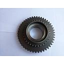 Pinion Z-46