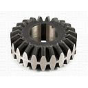 Pinion Dublu