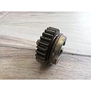 Pinion