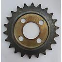 Pinion z-22