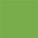 Vopsea Verde Deschis DF 0.75l