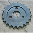 Pinion Z-23