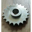 Pinion z-20