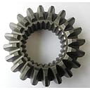 Pinion
